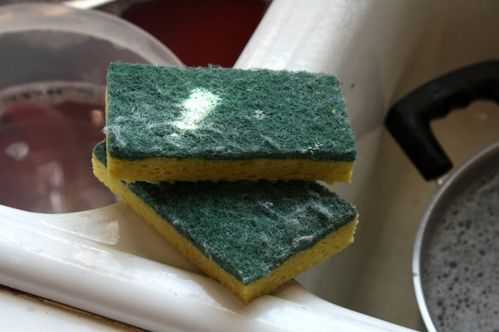 Theo Tổ chức Vệ sinh Quốc gia Hoa Kỳ (NSF) các khu vực lưu trữ hoặc chế biến thực phẩm có nhiều vi khuẩn và nhiễm bẩn hơn bất kỳ nơi nào khác trong nhà. Hơn 75% miếng bọt biển và giẻ rửa bát có chứa Salmonella, E. coli, và vi khuẩn phân.