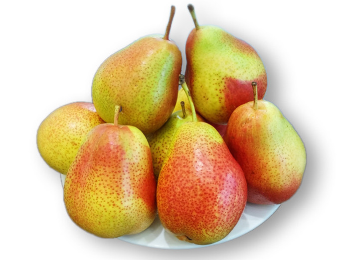 Lê cũng là loại trái cây mùa hè tuyệt vời với hàm lượng vitamin C cao cùng hương vị thanh mát, rất dễ ăn. Ảnh: giongcayanqua.