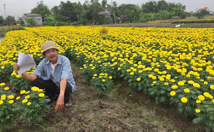 Ngày 9/2, Thanh Hoàng chia sẻ tiếp câu chuyện "Đào hoa": "Đào hoa theo nghĩa thông thường là được nhiều người khác phái cảm mến. Nghĩa thứ hai là người đào đất để trồng hoa. Anh ấy thuộc về nghĩa thứ hai...".