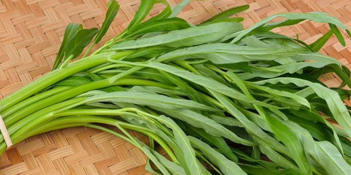 Để kích thích rau muống phát triển nhanh, người trồng thường cho phân đạm nhiều vượt ngưỡng và phun thuốc trừ sâu để tránh bị các loại sâu bọ phá hoại. Ảnh: tgdd.