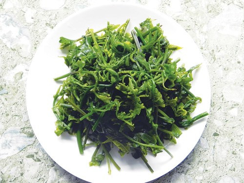 2. Rau dớn - dương xỉ. Cây rau dớn mọc ven khe suối xen lẫn với các loại cây cỏ khác. Có nơi, mọc thành vạt, thành đám rộng dưới những tán cây rừng râm mát. Rau dễ chế biến, có thể xào, luộc, nấu canh, muối chua, làm nộm nhưng món xào là phổ biến và ngon nhất.