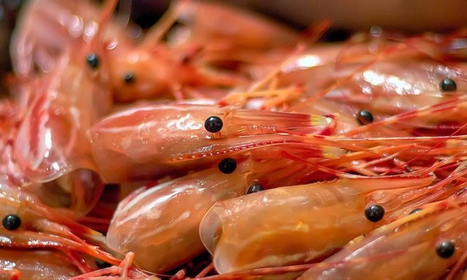 Ăn hết đầu tôm. Nhiều nguời vì tiết kiệm mà cố ăn hết cả phần đầu của tôm, thật sự thì nó vẫn ngon, vẫn có thể ăn được, tuy nhiên đây là nơi tích tụ một hàm lượng kha khá cá kim loại nặng mà cơ thể không thể hấp thụ được. Nếu tích lũy lâu dài có thể dẫn tới ung thư. Ảnh: www.thucphamantoan.com