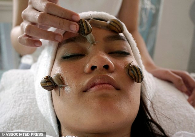 Chất nhờn này được xem là liều thuốc quý có thể xóa mờ nếp nhăn, dưỡng da, chống lão hóa mà nhiều ngành công nghiệp mỹ phẩm đã ứng dụng thực tế vào sản phẩm của họ.