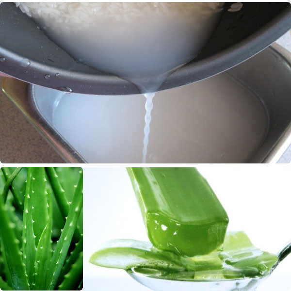 Nha đam và nước vo gạo. Lấy gel nha đam tươi trộn với một lượng nước vo gạo vừa đủ. Buổi tối trước khi đi ngủ, hãy dùng hỗn hợp này thoa đều lên da mặt sạch và để đến sáng. Lưu ý, có được lượng cám cần thiết trong nước vo gạo, bạn nên mua loại gạo không quá trắng.