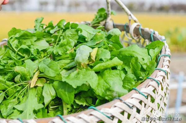 Chất lượng cuộc sống ngày càng cải thiện, bữa ăn ngoài thịt cá, người dân còn chú ý chọn rau rừng để giải ngán, bổ sung dưỡng chất.