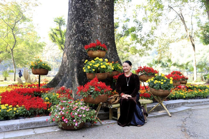 Ông Đỗ Văn Hài, Chủ tịch Hội Cây cảnh nghệ thuật Hà Nội cho biết: Sự kiện Trưng bày sinh vật cảnh Thủ đô chào xuân Kỷ Hợi năm 2019 được tổ chức phi lợi nhuận và hoàn toàn bằng nguồn đầu tư xã hội hóa. Qua đó, khuyến khích thú vui và nghệ thuật chơi cây cảnh chân chính.