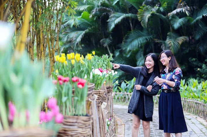 Lễ hội được tổ chức trên diện tích hơn 1500m2 tại Công viên mùa Xuân Khu đô thị Ecopark được trang trí bằng 180,000 cây hoa tulip rực rỡ sắc màu từ vàng tươi, trắng tinh khôi, hồng dịu dàng, đỏ rực rỡ, tím e ấp...