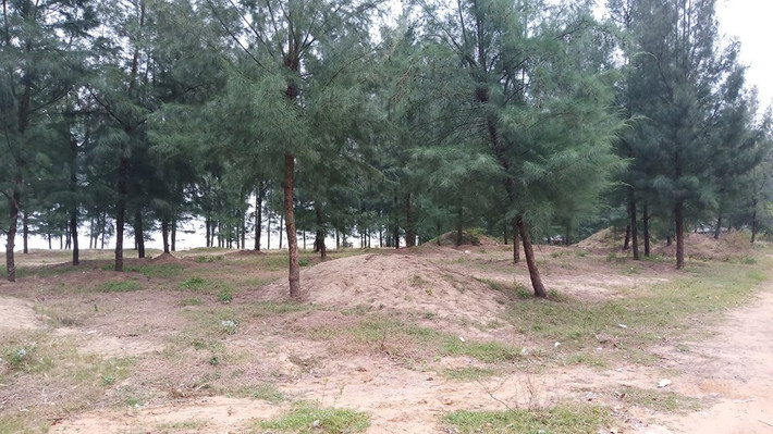 Năm 2007, quy hoạch diện tích rừng phòng hộ tỉnh Thanh Hóa là 191.943,98 ha,. Trong đó, diện tích đã có rừng 151.474,47 ha, diện tích chưa có rừng 40.469,51 ha.