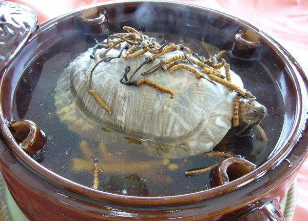 2. Súp rùa sống. Súp rùa sống cũng là món ăn tàn nhẫn, bị cấm tại Trung Quốc. Chính sự dã man trong quá trình chế biến khiến nó bị “tẩy chay” dù đặc biệt thơm ngon, bổ dưỡng. (Ảnh: Sohu)