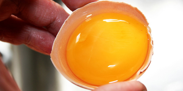 Thực tế, cơ thể có hai nguồn cung cấp cholesterol. Một là do gan sản xuất (chiếm 70-80%), còn lại lấy từ lượng thức ăn đưa vào (chiếm 20-30%). Nếu ăn nhiều cholesterol, gan sẽ tự động sản xuất ít hơn. Mặt khác, chất lecithin trong trứng góp phần điều chỉnh lượng cholesterol. Nhờ vậy, những người có mỡ máu cao, cholesterol cao vẫn có thể ăn lòng đỏ.