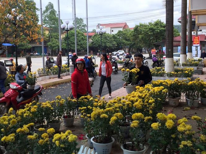 “Quan điểm của tỉnh là duy trì các dãy hoa này và tu bổ thêm để quảng bá, thu hút khách du lịch. Tuy nhiên, sau đó một số người dân vô ý thức đã đến lấy trộm gần hết hoa”, ông Phong nói.