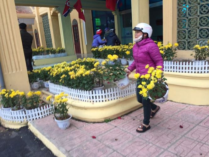 Ghi nhận của phóng viên Tiền Phong, sau gần một tuần, kể từ khi đoàn lãnh đạo cấp cao Triều Tiên rời ga đường sắt Đồng Đăng trở về nước, những chậu hoa trang trí rực rỡ đã biến thành “bãi chiến trường”, nom rất phản cảm.