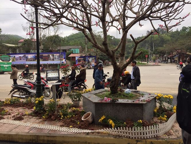 Lực lượng bảo vệ ga Đồng Đăng mỏng, lượng người hôi của đông và bất chợt nên lực lượng chức năng không thể ngăn cản được người dân đến lấy hoa. “Cũng có thể sắp đến ngày mồng 8/3, nên người ta muốn trang trí nhà cửa, công sở nên đã làm liều”, ông Phong nhận định. Ảnh: Duy Chiến