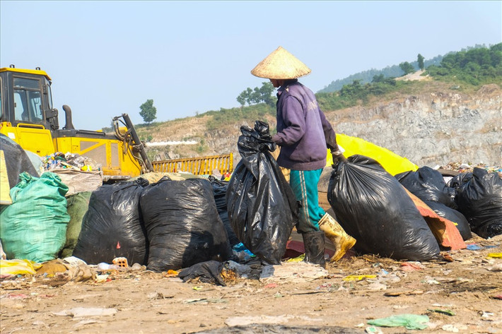 Thu gom những gì nhặt được rồi đem lại bãi tập kết để đến chiều bán.