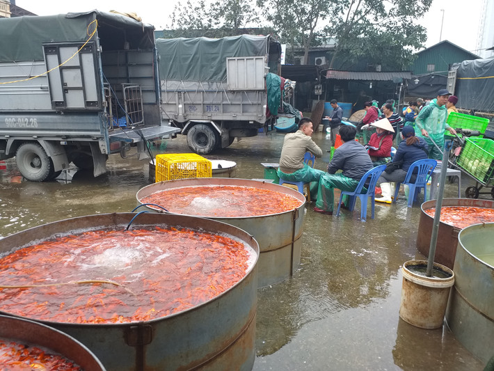 Bên cạnh đó, nhiều tiểu thương khác sẵn sàng mua từ 10 - 40 kg để đem về bán ở các chợ cóc.