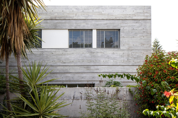 Cây cối tươi xanh vây quanh ngôi nhà. Ảnh: Dezeen.