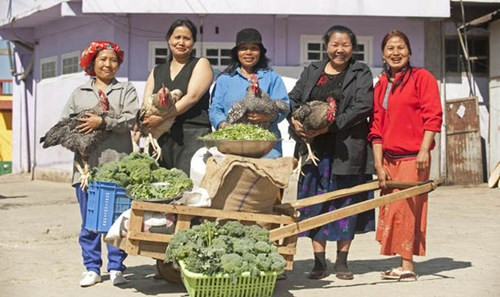 Ông có thể cưới 10 phụ nữ trong 1 năm ở thời kỳ sung mãn nhưng cũng chia sẻ tình yêu thương đồng đều với tất cả 39 bà vợ. Phòng của những cô vợ trẻ được đặt gần phòng của chồng và luôn có hệ thống luân phiên để các cô vợ ghé thăm mỗi đêm.
