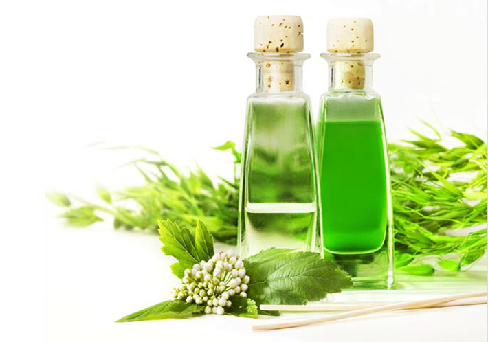 Dầu tràm. Là loại tinh dầu có tính sát khuẩn cao vì thế có thể giúp loại bỏ vi khuẩn gây mùi hôi miệng đồng thời tăng lưu lại hương thơm trong khoang miệng. Hãy nhỏ 1-2 giọt tinh dầu tràm vào bàn chải đánh răng để đánh răng hàng ngày. Ảnh: Ashsyifa.