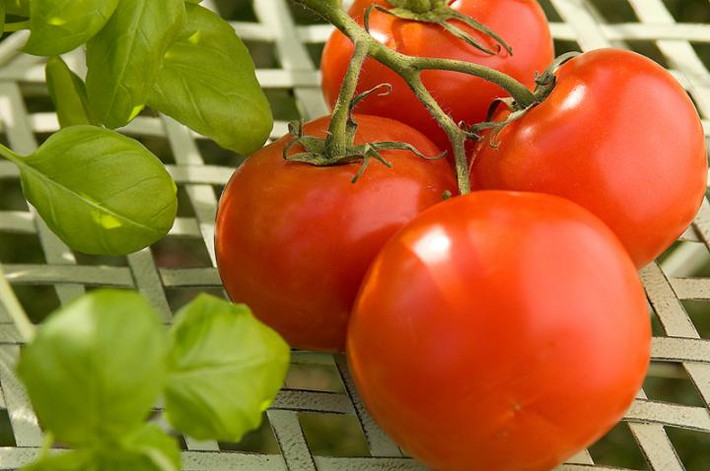 Cà chua được xem là “cứu cánh” cho các chị em khi muốn triệt lông nách. Loại quả này vừa giúp lấy đi những sợi lông xấu xí lại vừa giúp vùng da ở nách mịn màng, trắng mịn hơn. (Nguồn Almanac)
