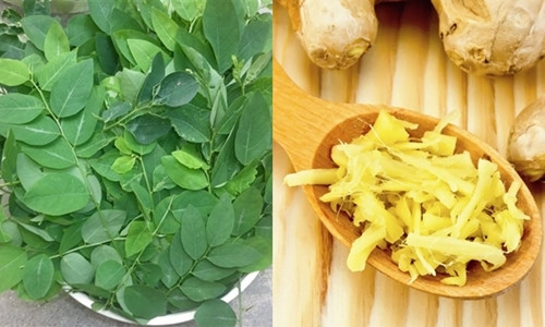 Rau ngót, gừng. Có thể giã rau ngót và trộn với nước ép gừng sau đó chắt nước để thoa lên da mặt, đều đặn hàng ngày cho đến khi vết nám mờ dần. Ảnh: Tritannhang.