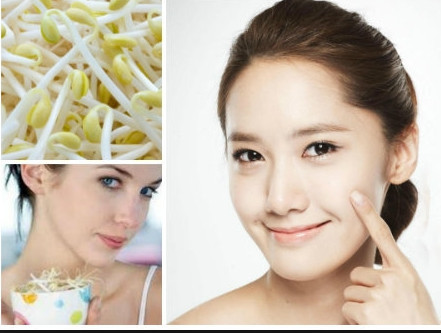 Giá đỗ. Là loại rau giàu vitamin C có tác dụng lớn trong việc chống lão hóa đồng thời ngăn chặn các hắc tố melanin gây nám da, giúp da trắng sáng. Dùng giá đỗ xay nhuyễn và lấy nước uống, bã đắp lên vùng nám. Ảnh: Cachlamgiado.