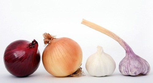 Cũng là hành tây, bạn có thể dùng 3 vỏ nâu (lớp ngoài cùng của củ hành) và 3 tép tỏi để nguyên vỏ. Rửa sạch tỏi và hành tây và tỏi rồi đập dập đun sôi cùng một bát nước trong 10 phút. Chắt lấy phần nước vừa đun và cho 1 thìa mật ong, vắt thêm một phần nước cốt chanh khuấy đều. Ngày uống 3 lần hỗn hợp này bệnh ho sẽ nhanh khỏi. Ảnh: Winesworld Magazine.
