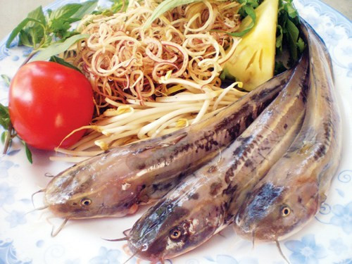 Từ cá ngát có thể chiến biến thành nhiều món ăn ngon và bổ dưỡng như cháo cá ngát cốt dừa, cá ngát kho tộ, cá ngát xào lăn, canh chua cá ngát,... (Nguồn Cakho)