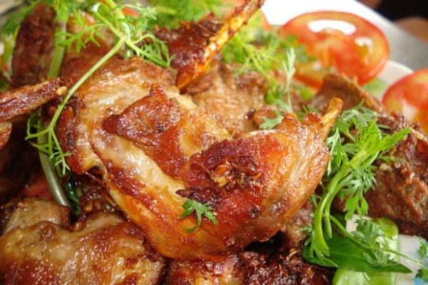 Chuột cống nhum đực nhanh lớn hơn chuột cống nhum cái. Chuột cái nuôi được 6 tháng sẽ đẻ lứa đầu tiên từ 4-7 con. Sau đó, cứ cách ba tháng chuột cái lại đẻ tiếp. (Nguồn Thuonghieuvietnoitieng)
