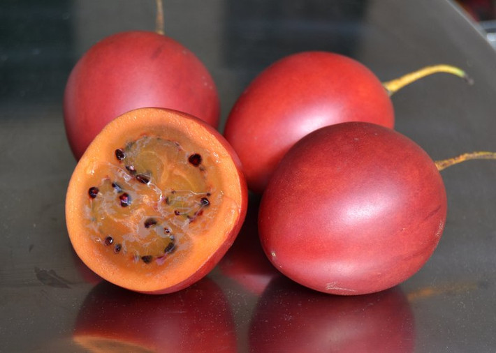 Cà Tamarillo hay còn gọi là cà chua thân gỗ có nguồn gốc từ Nam Phi. Loại cây này còn được trồng rộng rãi ở phía bắc của Chile, Argentina, nam Mexico và Ecuador. (Nguồn Hatgiongngoainhap)