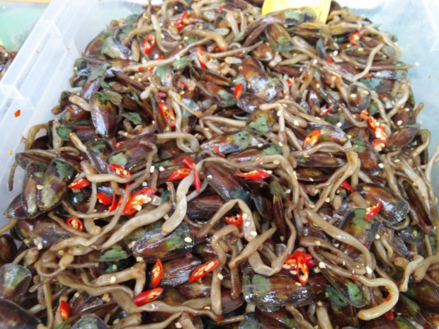 Thực chất, cà xỉu là một loài ốc sống ở dưới tầng nước bùn tại sông, cửa biển, nước lợ, đầm hồ. (Nguồn Abaza)