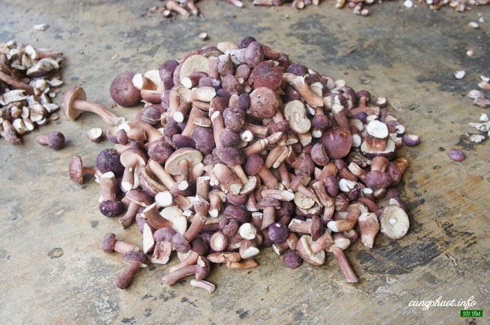 Nấm tràm có thể chế biến thành nhiều món ngon như nấm xào thịt, nấm xào tôm, nấm xào mực, nấm nấu gà,...nhưng ngon nhất có lẽ là món canh nấm tràm. (Nguồn 1tour)