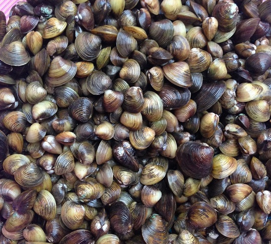 Hến chứa nhiều chất dinh dưỡng như protein, sắt, kẽm, omega 3, vitamin B12. Ngoài ra, còn có mangan, phốt pho và một lượng nhỏ canxi cùng vitamin C. (Nguồn Yêu nội trợ)