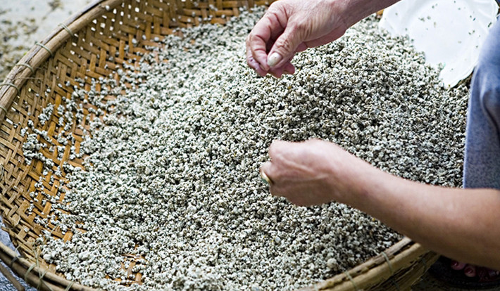 Hến là một loại thực phẩm không còn xa lạ đối với người Việt Nam. Tuy nhiên, nếu bạn ăn hến không đúng cách có thể gây dị ứng, ngộ độc, nhiễm virus, vi khuẩn, khiến tình trạng của bệnh Gout thêm nghiêm trọng. (Nguồn Vivudoday)
