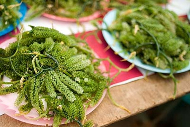 Rong biển còn được sử dụng làm hương liệu để chăm sóc sắc đẹp như: mặt nạ dưỡng da, trị mụn, trị thâm nám, dưỡng thể toàn thân…(Nguồn Tangcangiamcan)