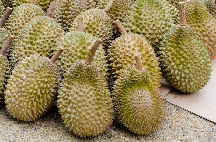 Theo các chuyên gia, có tới 19 hợp chất tạo mùi được xác định trong mùi hương của sầu riêng, trong đó mùi đậm đặc nhất là mùi hương của đôi tất sau khi tập gym, mùi của nước thải và thịt thối rữa. (Nguồn Photobucket)
