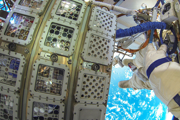 Nhanh chóng sau đó, NASA bác bỏ và khẳng định rằng, cách phân loại, nhận diện các sự sống vi sinh vật cổ trong vũ trụ của Nga là chưa chuẩn xác vừa chưa có căn cứ, cơ sở phân loại rõ ràng. Bởi phần lớn chúng là những cấu trúc phức tạp chứ không hề đơn giản để mà nhận diện. Nguồn ảnh: Google.