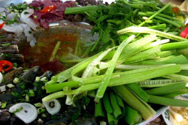 Xưa kia, cỏ năn bộp là món ăn chỉ dành cho những gia đình nông thôn nghèo dùng trong những ngày đói. Nhưng nay, cỏ năn bộp đã trở thành một loại rau sạch cũng như đặc sản “trời cho” của tỉnh Bạc Liêu. (Nguồn Amthucsinhvien)