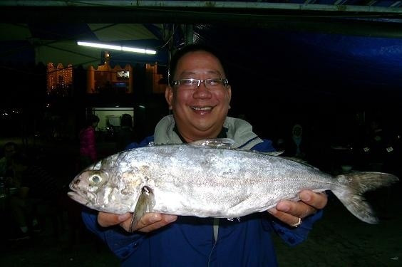 Cá cu thịt nhiều, thịt trắng, dai và rất thơm ngon. Từ cá cu có thể chế biến thành nhiều món ăn hấp dẫn như cháo cá cu, lẩu cá cu, cá cu hấp, cá cu nướng,...(Nguồn Saigonphoto)