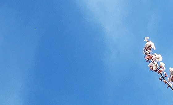 Nhiều ý kiến đồn thổi rằng nó có thể là một UFO và nó có thể đang theo sát máy bay. Vật thể xuất hiện mờ ảo, lúc ẩn lúc hiện, ít di chuyển sau đó nhanh chóng mất hút trên bầu trời. Nhưng hiện vẫn chưa rõ nguồn gốc thực sự của vật thể kỳ bí. Nguồn ảnh: earthmysterynews.