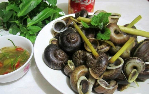 Ốc xu có hình dáng gần giống ốc bươu nhưng nhỏ và dẹt hơn, xoắn thành nhiều vòng. (Nguồn Nhadatsotayninh)