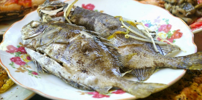 Ở Việt Nam, cá giò có mặt nhiều ở vùng biển ven bờ từ Bắc đến Nam. Trên thế giới, cá giò phân bố rộng ở vùng biển nhiệt đới và cận nhiệt đới. (Nguồn Blogspot)