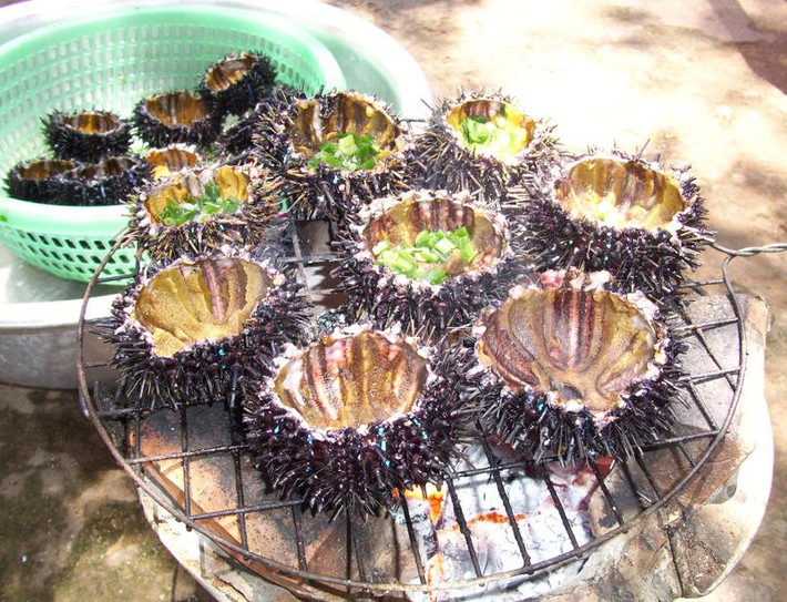 Đàn nhum thường tụ tập ở những nơi có nhiều rạn san hô, đá ngầm và hang hốc. Thức ăn của chúng là rong rêu và cỏ biển, đặc biệt là cỏ lá hẹ. (Nguồn Amthuc365)