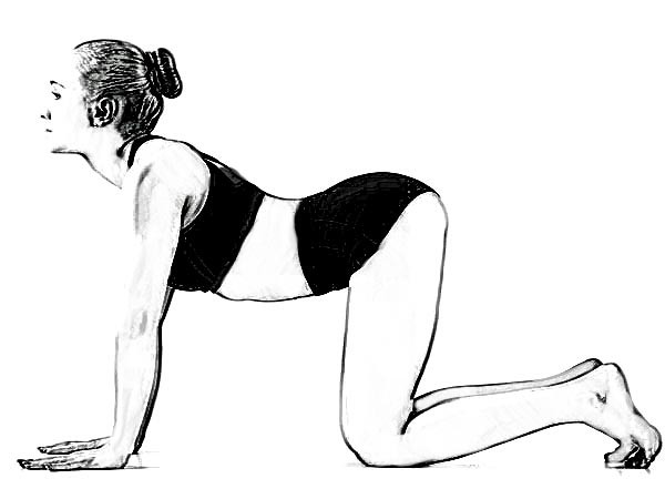 Tư thế con mèo. Là tư thế yoga tuyệt vời nhất để giảm căng thẳng và đau nhức ở cột sống, vai và cổ; tăng cường lưu thông máu ở não. Ngồi ở tư thế quỳ, sau đó đặt hai tay xuống sàn, lòng bàn song song vớ nhau, khoảng cánh rộng bằng vai. Hai cánh tay và hai chân song song với nhau và vuông góc với sàn. Mắt nhìn xuống sàn. Hít sâu giữ toàn thân thẳng, thở ra đẩy cao lưng , cột sống lên cao. Lặp đi lặp lại.