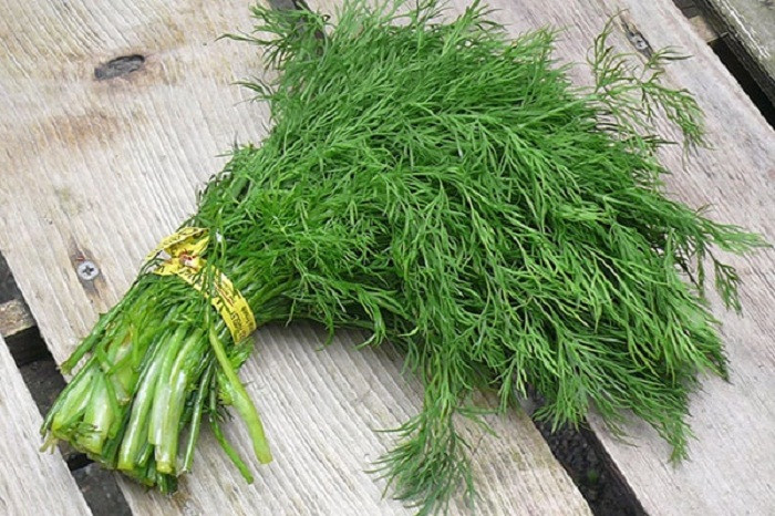 Thì là. Thì là rất tốt khi kết hợp với salad khoai tây, salad cà chua, các món liên quan đến gà và cá. Loại gia vị này được đánh giá cao nhờ ít calo, cung cấp lượng lớn vitamin C, A, sắt và mangan.