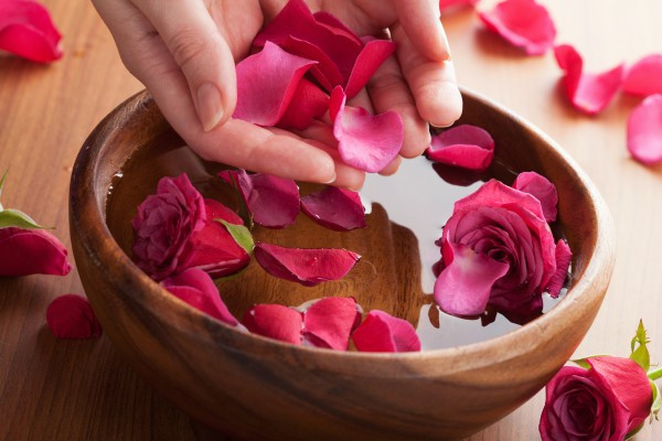 Để làm mặt nạ hoa hồng trị mụn bọc, bạn cần chuẩn bị những nguyên liệu gồm: cánh hoa hồng, bột nghệ và sữa tươi. Ảnh: maihan.
