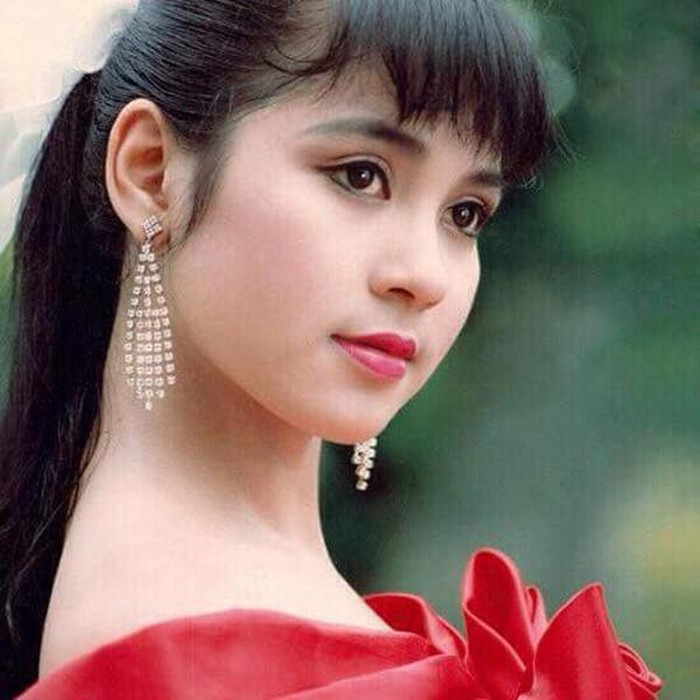 Sở hữu nhan sắc xinh đẹp và lối diễn xuất duyên dáng, Việt Trinh từng được mệnh danh là mỹ nhân đẹp nhất màn ảnh Việt một thời.