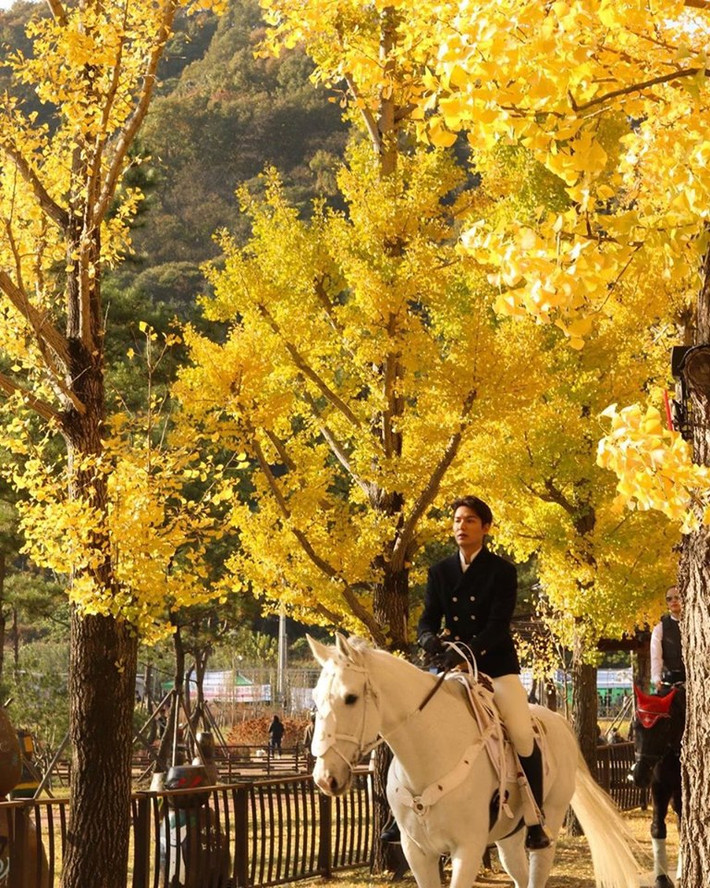 Lee Min Ho trên phim trường "The King".