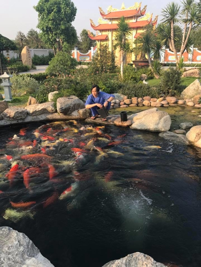 Bạn bè và anh chị em nghệ sĩ có dịp được ghé thăm nhà thờ Tổ của Hoài Linh đều phải trầm trồ trước hồ cá đông đúc do chính nam danh hài tự tay chăm sóc, cho ăn.