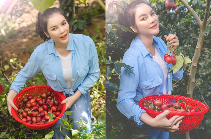 Khác với vẻ sang trọng, kiều diễm mỗi khi đi dự sự kiện, Lý Nhã Kỳ của đời thường lại thích những style đơn giản. Cô mặc quần jeans, áo thun, khoác ngoài áo sơ mi vào nông trại của mình ở Đà Lạt thu hoạch rau, cà chua.
