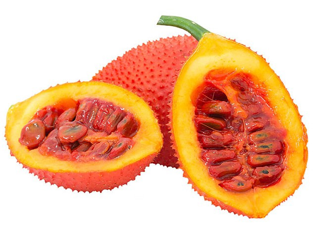 Quả gấc. Loại quả này có chứa một lượng lớn beta-carotene và lycopene, hoạt chất có tác dụng chữa bệnh hiệu quả. "Nghiên cứu cho thấy lượng lycopene trong gấc cao hơn so với cà chua và cà rốt gấp 10 lần", nhà nghiên cứu Mead tiết lộ. Ngoài ra, nghiên cứu của Trường Đại học Dược và Y khoa sinh học Portsmouth cho thấy lycopene có tác dụng chống ung thư phổi, dạ dày và tuyến tiền liệt.